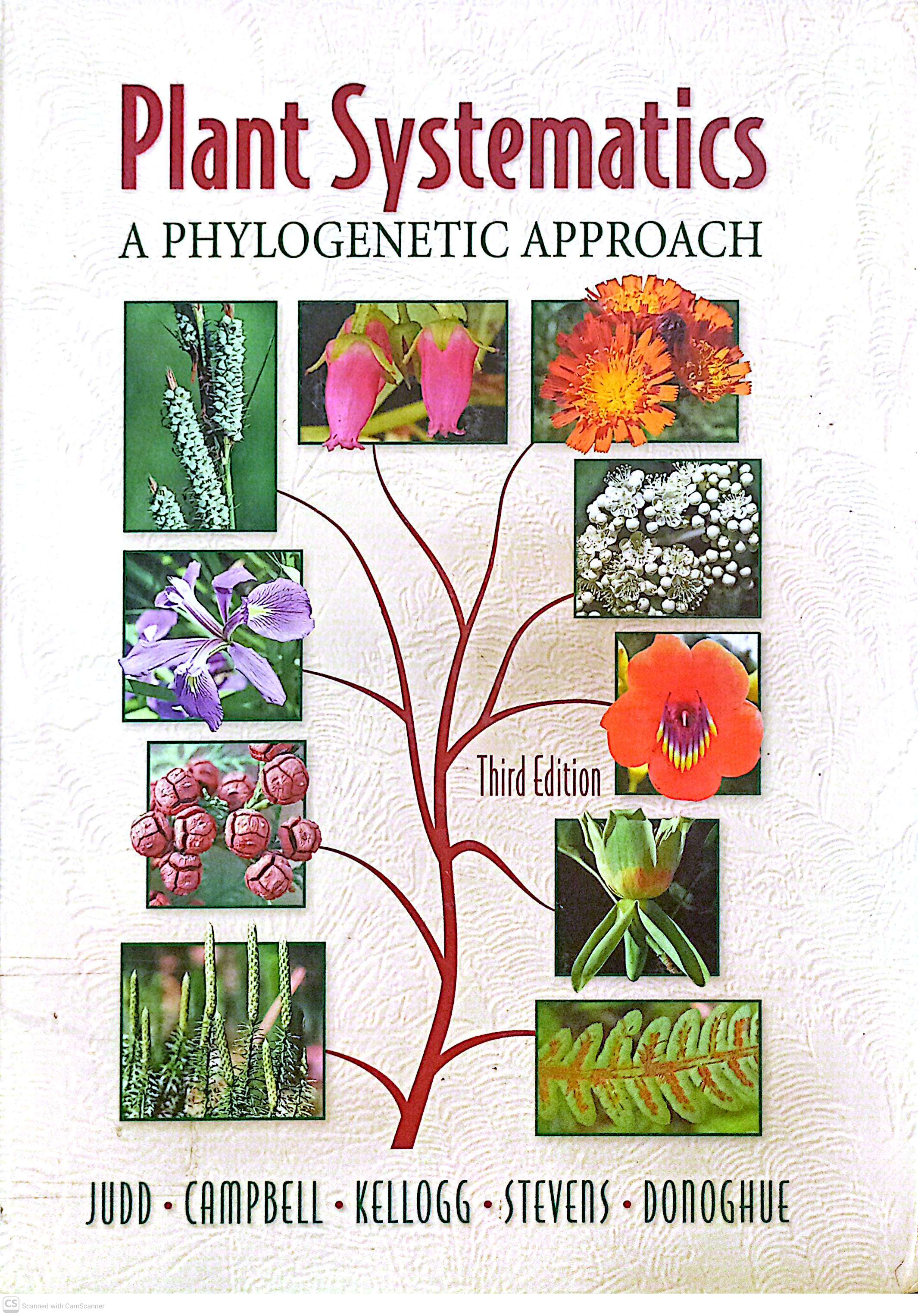 PLant Systematics
