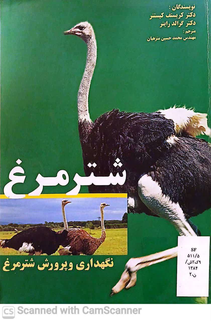 نگهداری و پرورش شتر مرغ
