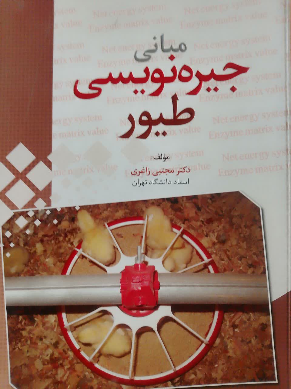 مبانی جیره نویسی طیور