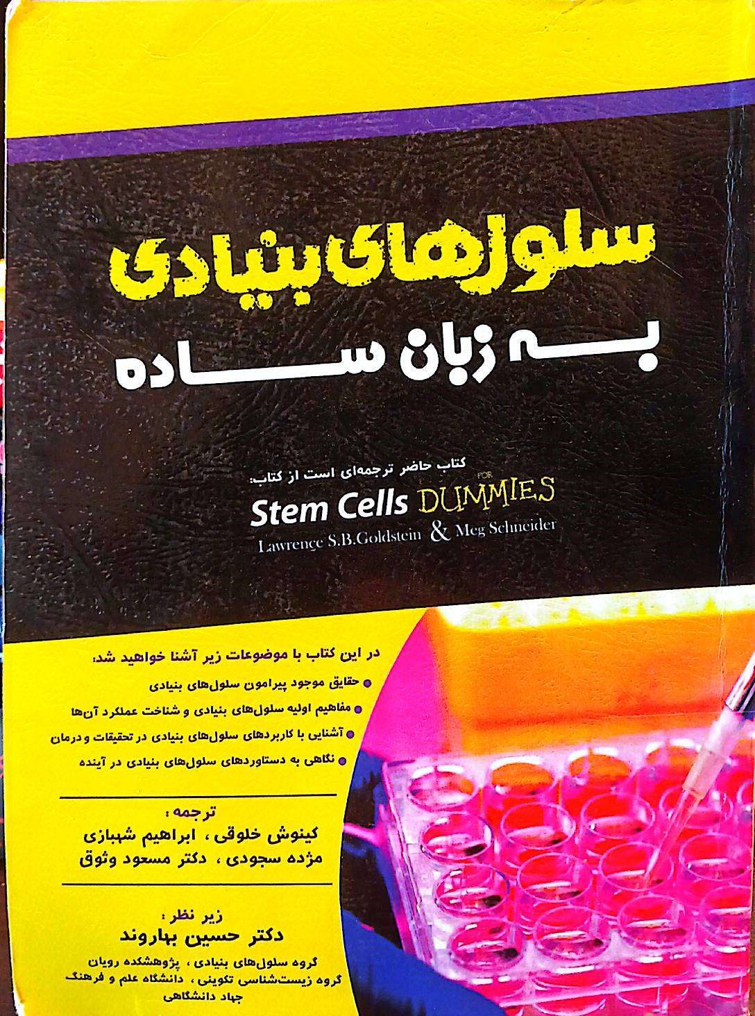 سلولهای بنیادی به زبان ساده