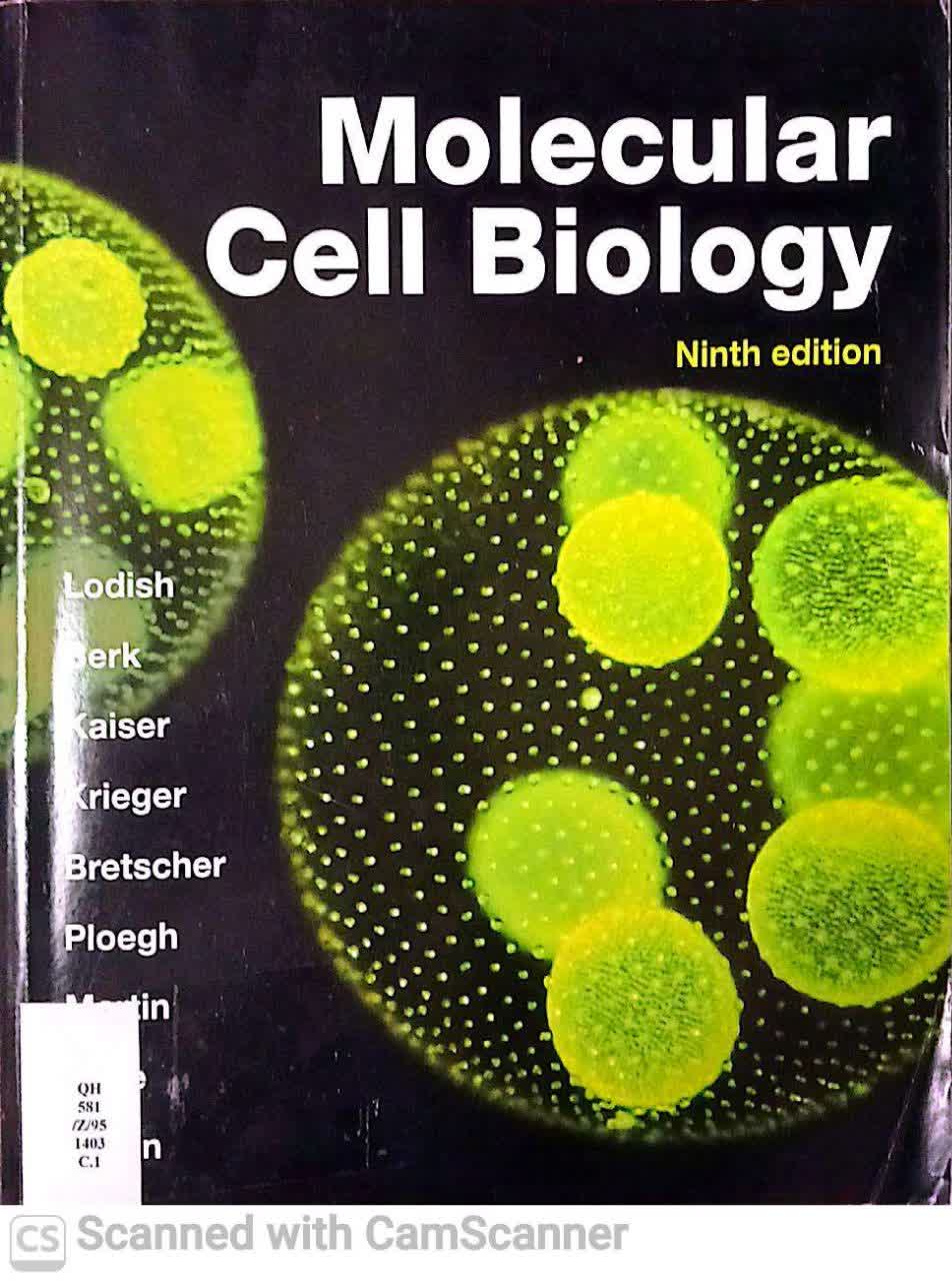 MOLECULAR CELL BIOLOGY