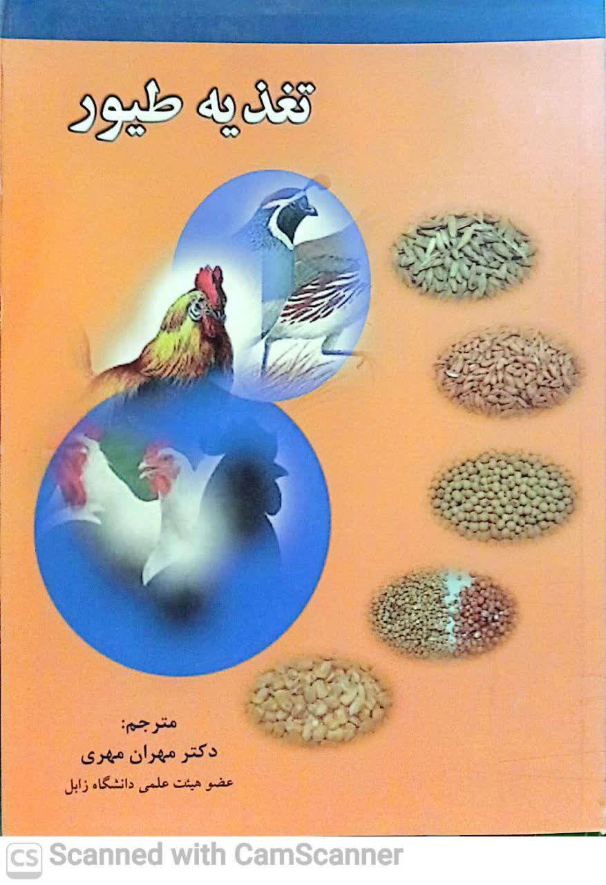 تغذیه طیور(جین پستی)