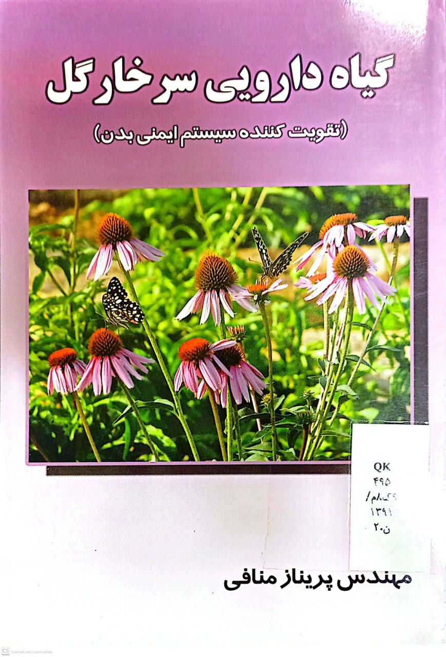 گیاه دارویی سرخارگل (تقویت کننده سیستم ایمنی بدن)
