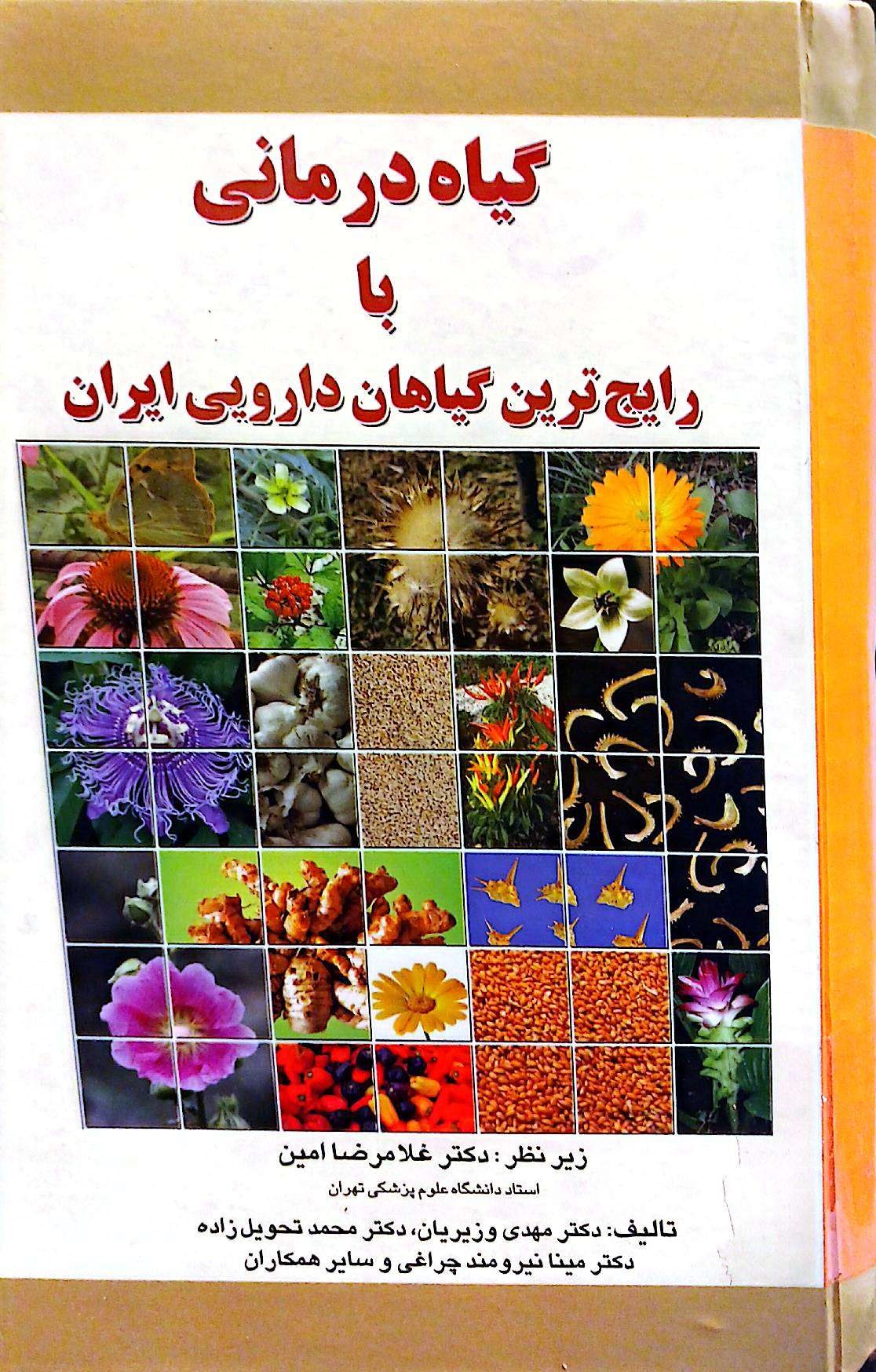 گیاه درمانی با رایج ترین گیاهان داروئی ایران
