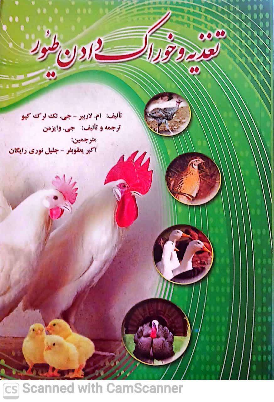 تغذیه و خوراک دادن طیور