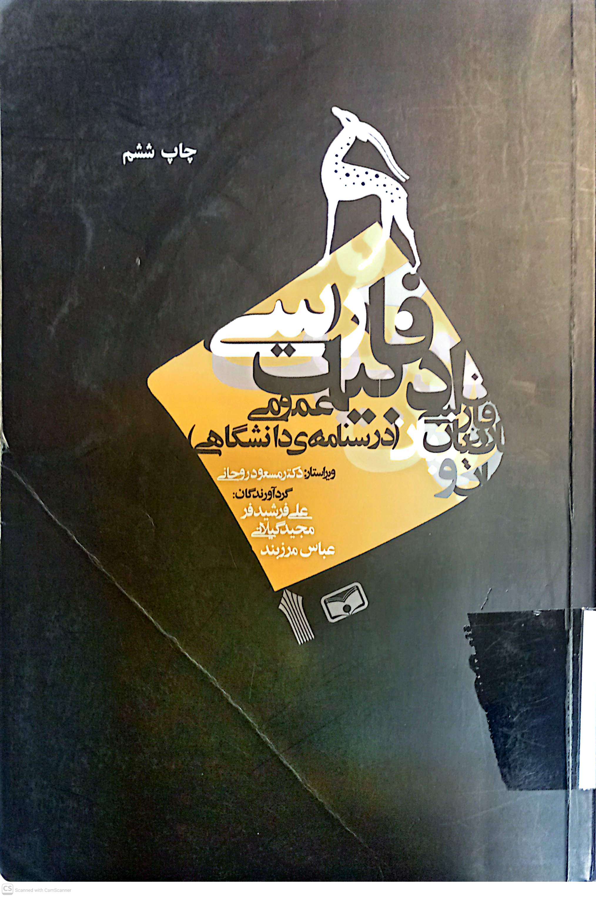 ادبیات فارسی عمومی (درسنامه دانشگاهی)