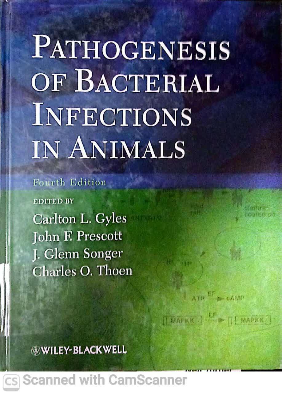 PATHOGENESIS OF BACTERIAL INFECTIONS IN ANIMAL