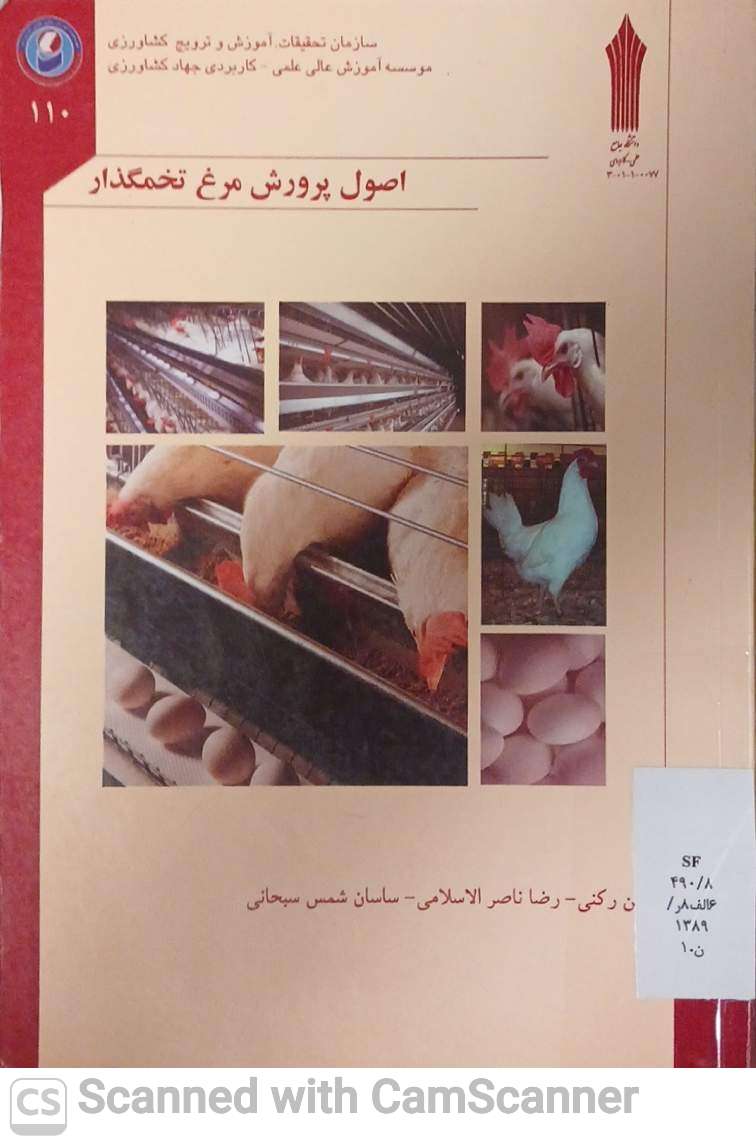 اصول پرورش مرغ تخمگذار