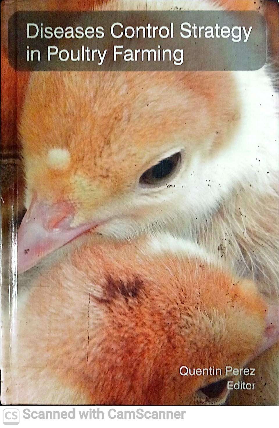 DISEASES CONTROL STRATEGY IN POULTRY FARMING
