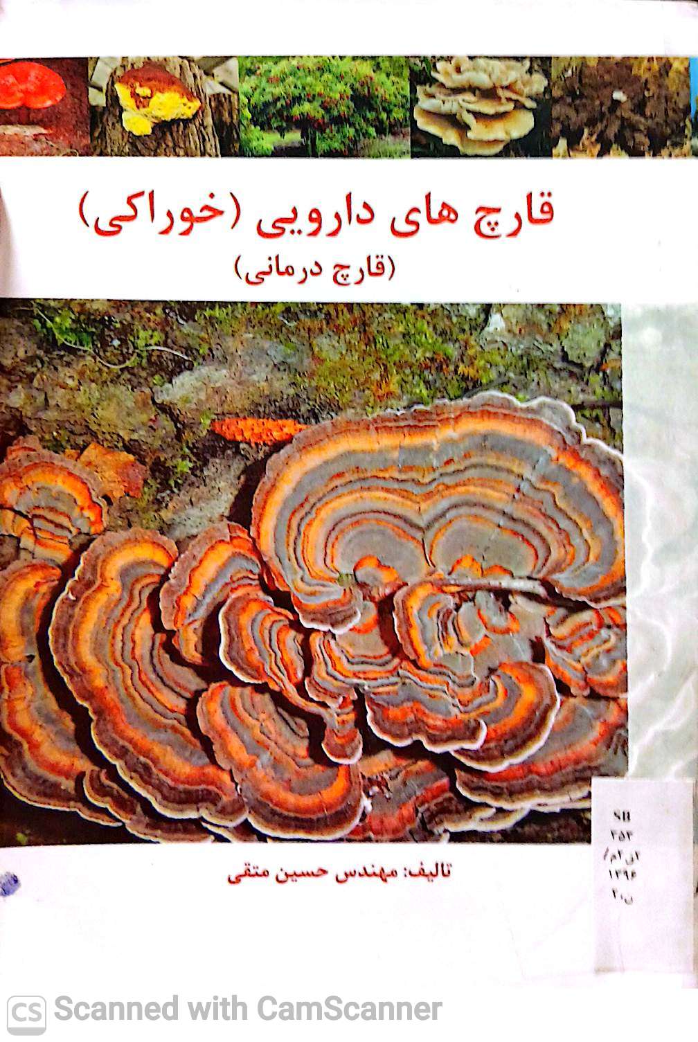 قارچ های دارویی(خوراکی)(قارچ درمانی)