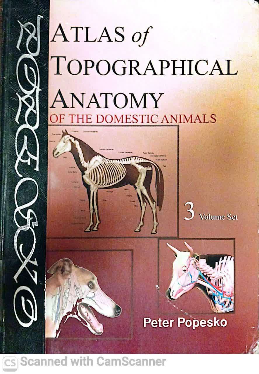 ATLAS OF TOPOGRAPHICAL ANATHOMY OF THE DOMESTIC ANIMALSS