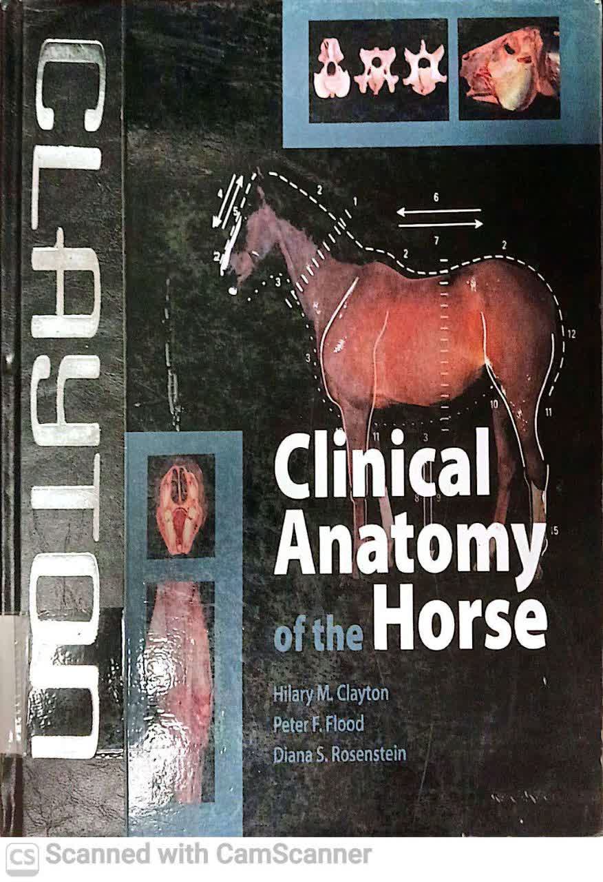 CLINICAL ANATOMY OF THE HORSE