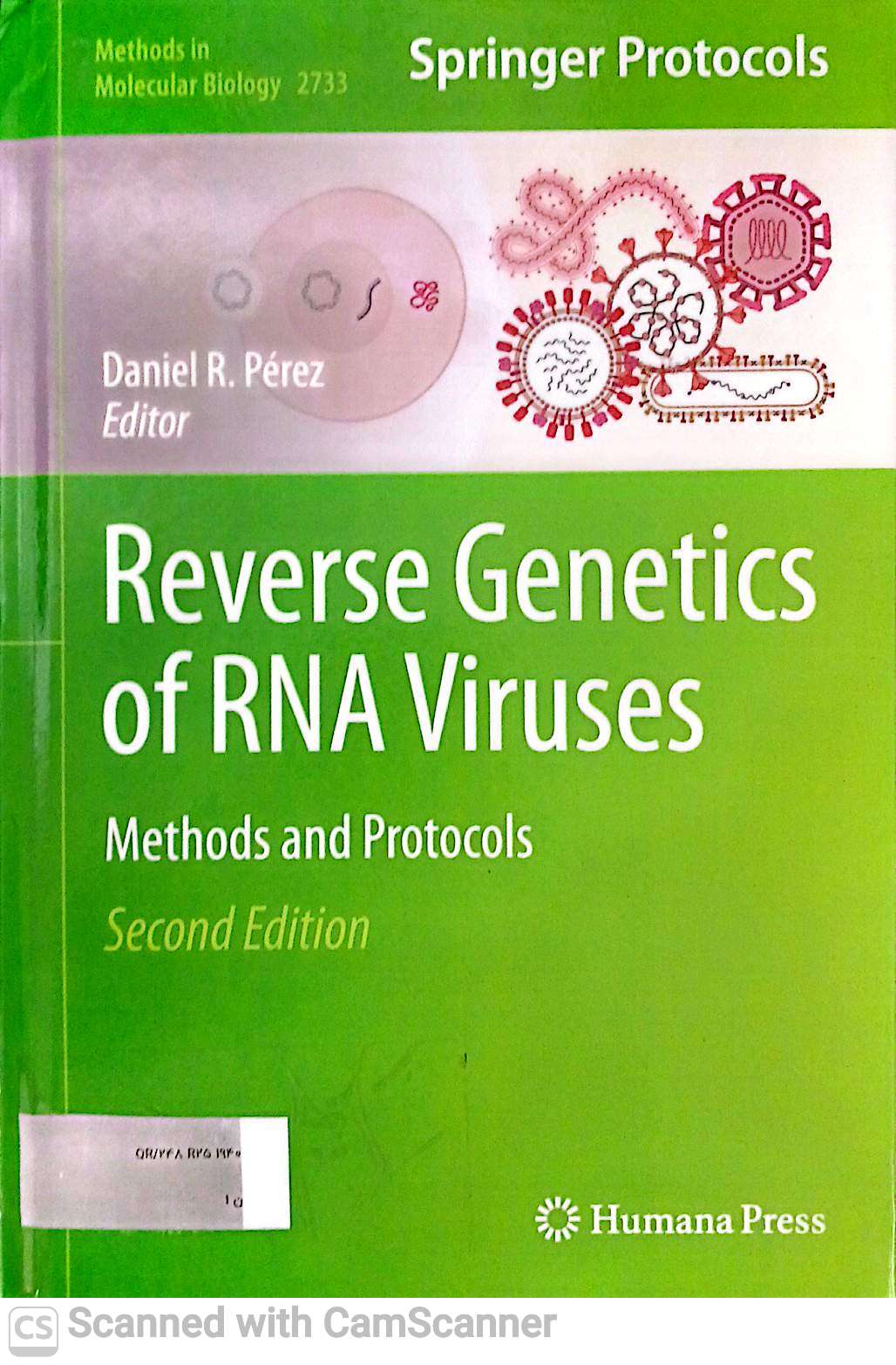 Reverse Genetics of RNA viruses