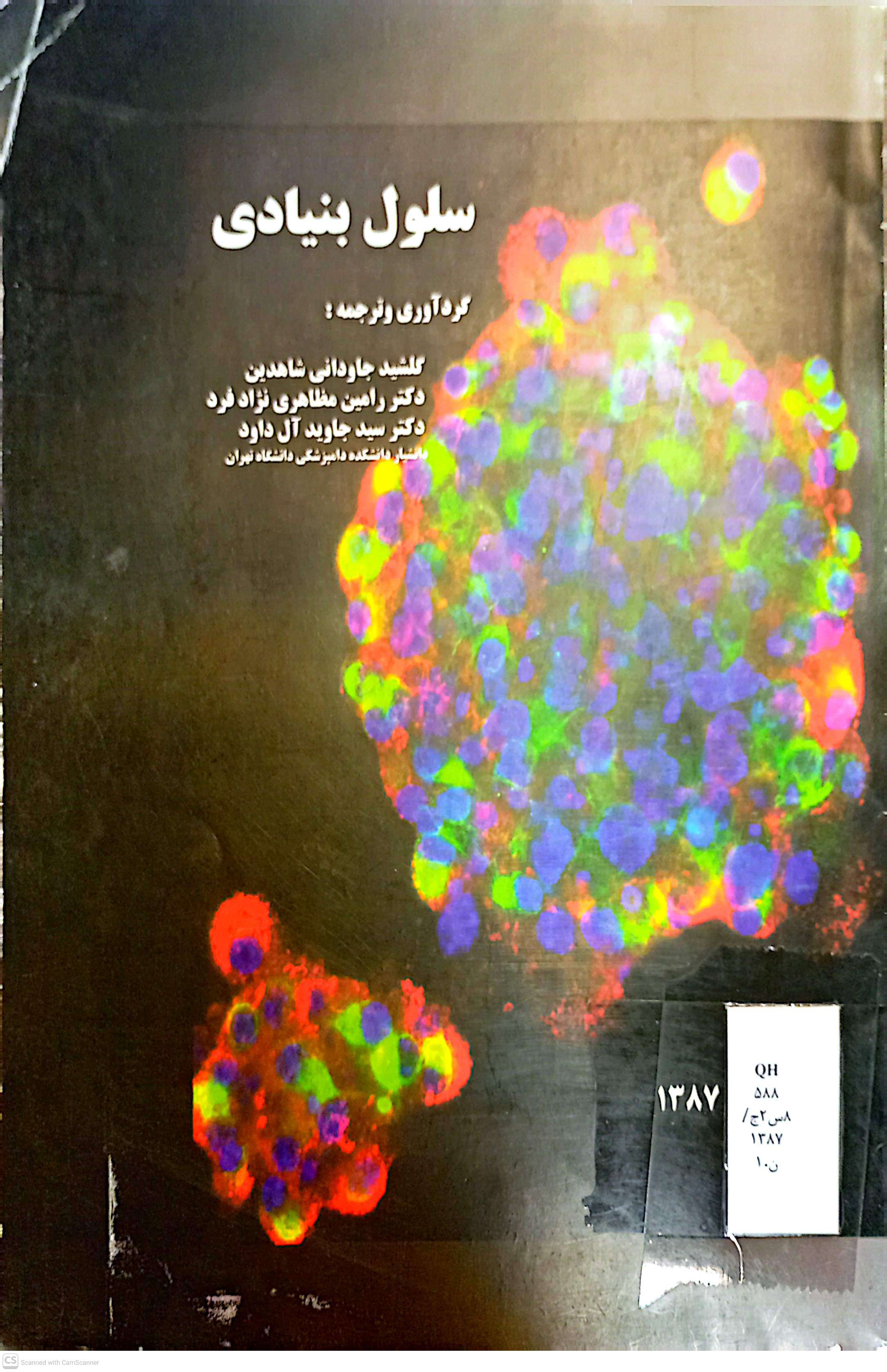 سلول بنیادی