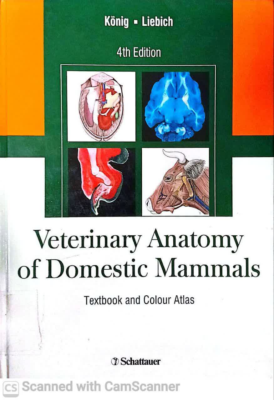 VETERINARY ANATOMY OF DOMRSTIC MAMMALS