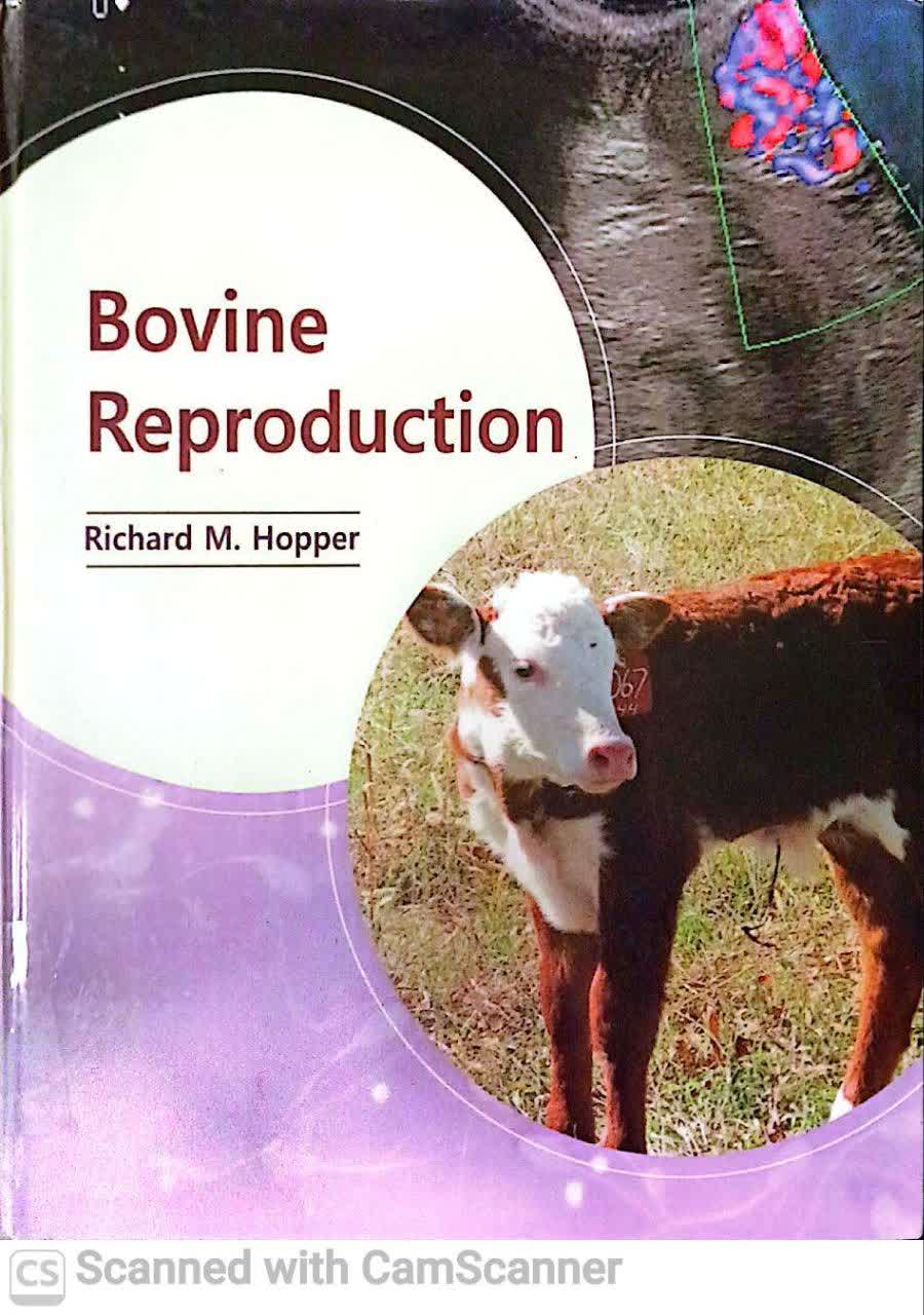BOVIN REPRODUCTION