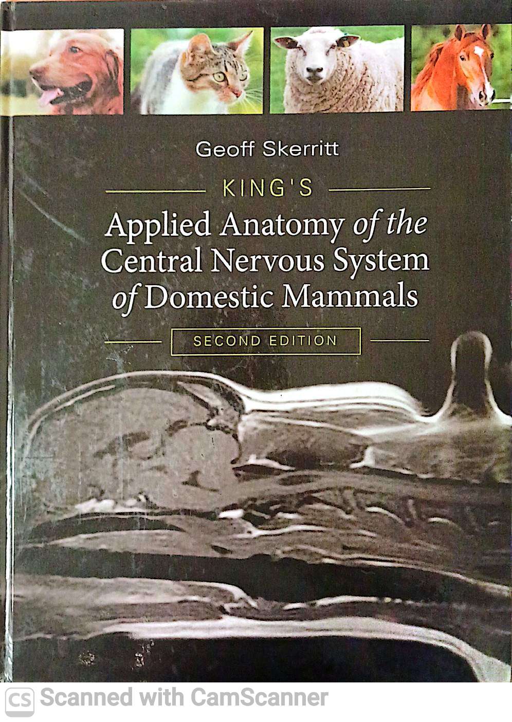 APPLIED ANATOMY OF THE CENTRAL NERVOUS SYSTEM OF DOMESTIC MAMMALSS