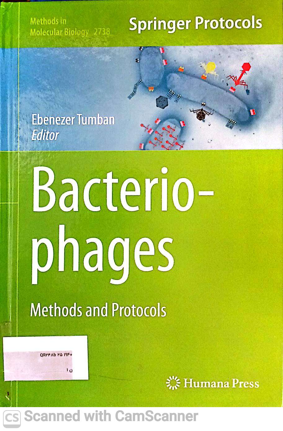 Bacterio Phages