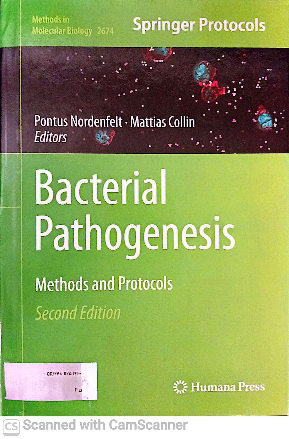 BACTERIAL PATHOGENESIS
