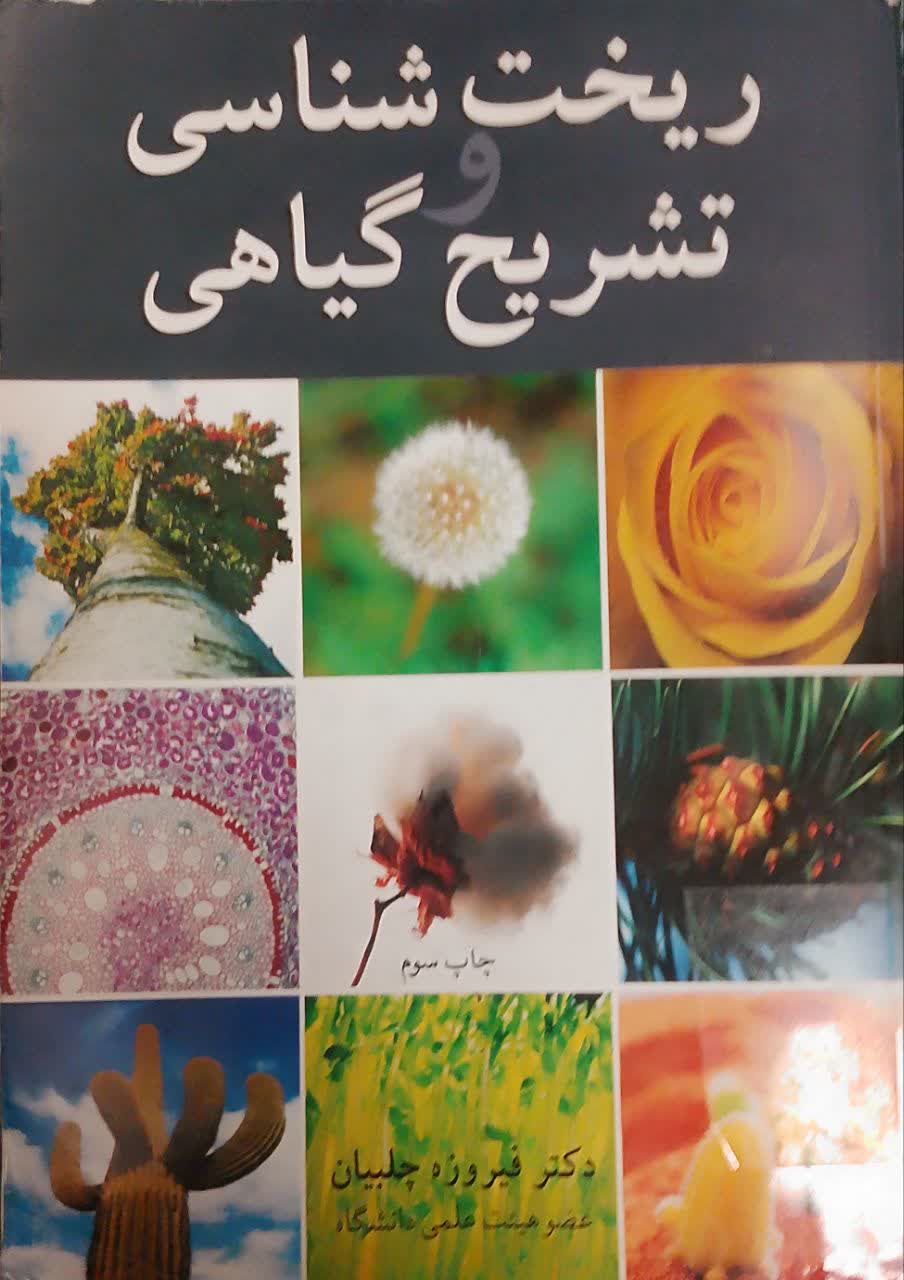 ریخت شناسی تشریح گیاهی 