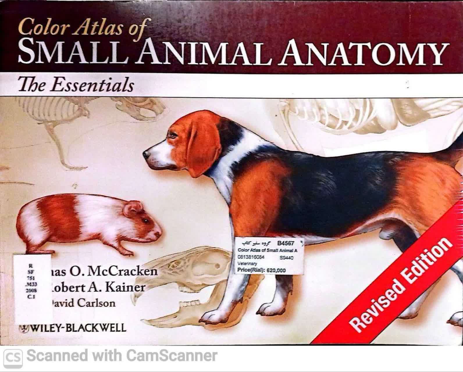 COLOR ATLAS OF SMALL ANIMAL ANATOMY(THE ESSENTIALS)