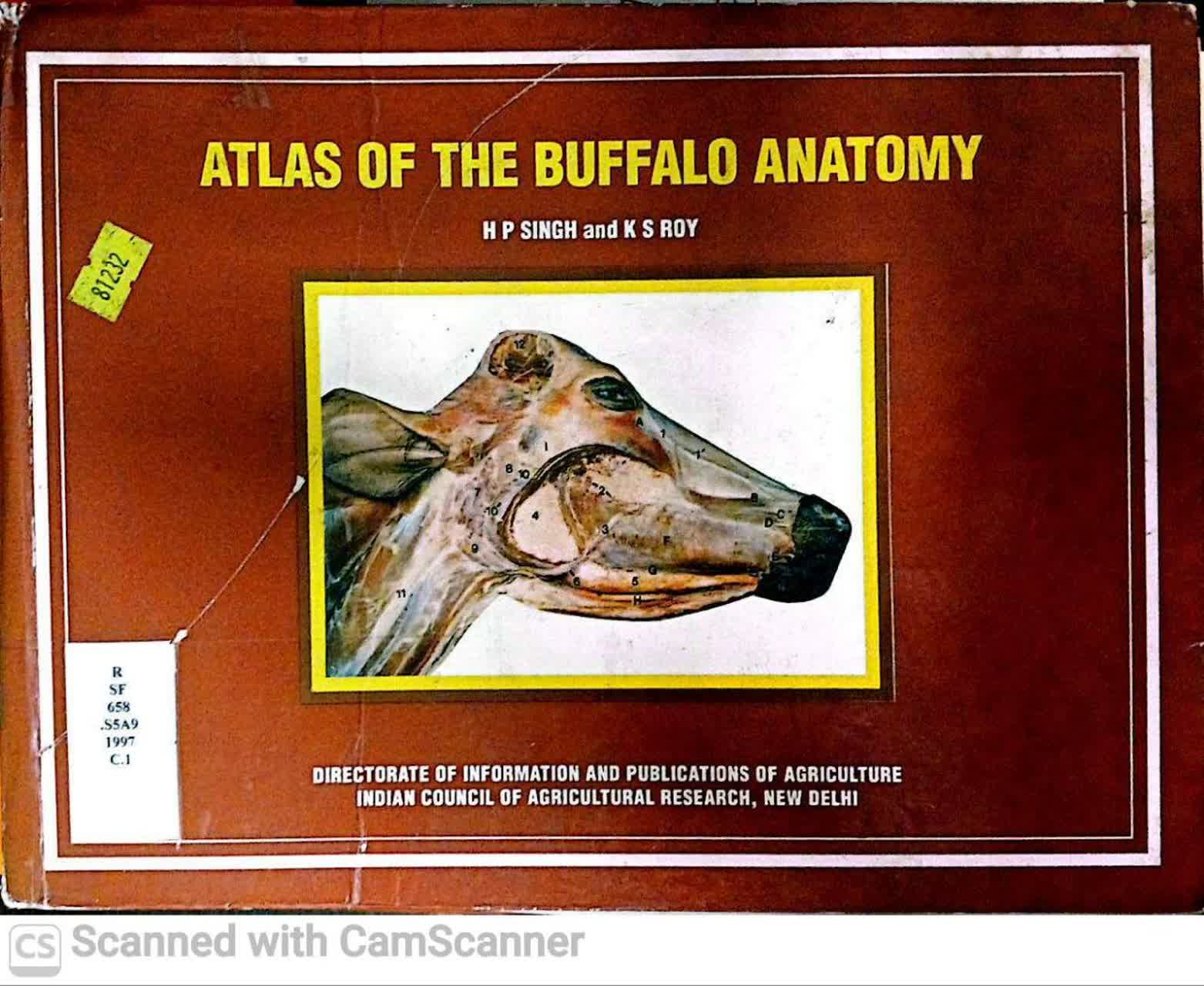 ATLAS OF THE BUFFALO ANATOMY