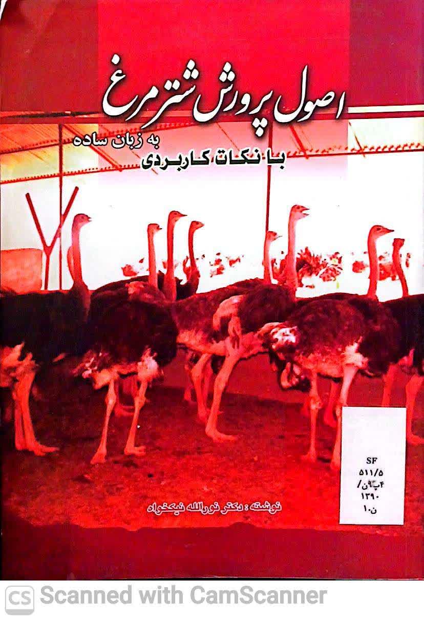 اصول پرورش شترمرغ به زبان ساده با نکات کاربردی
