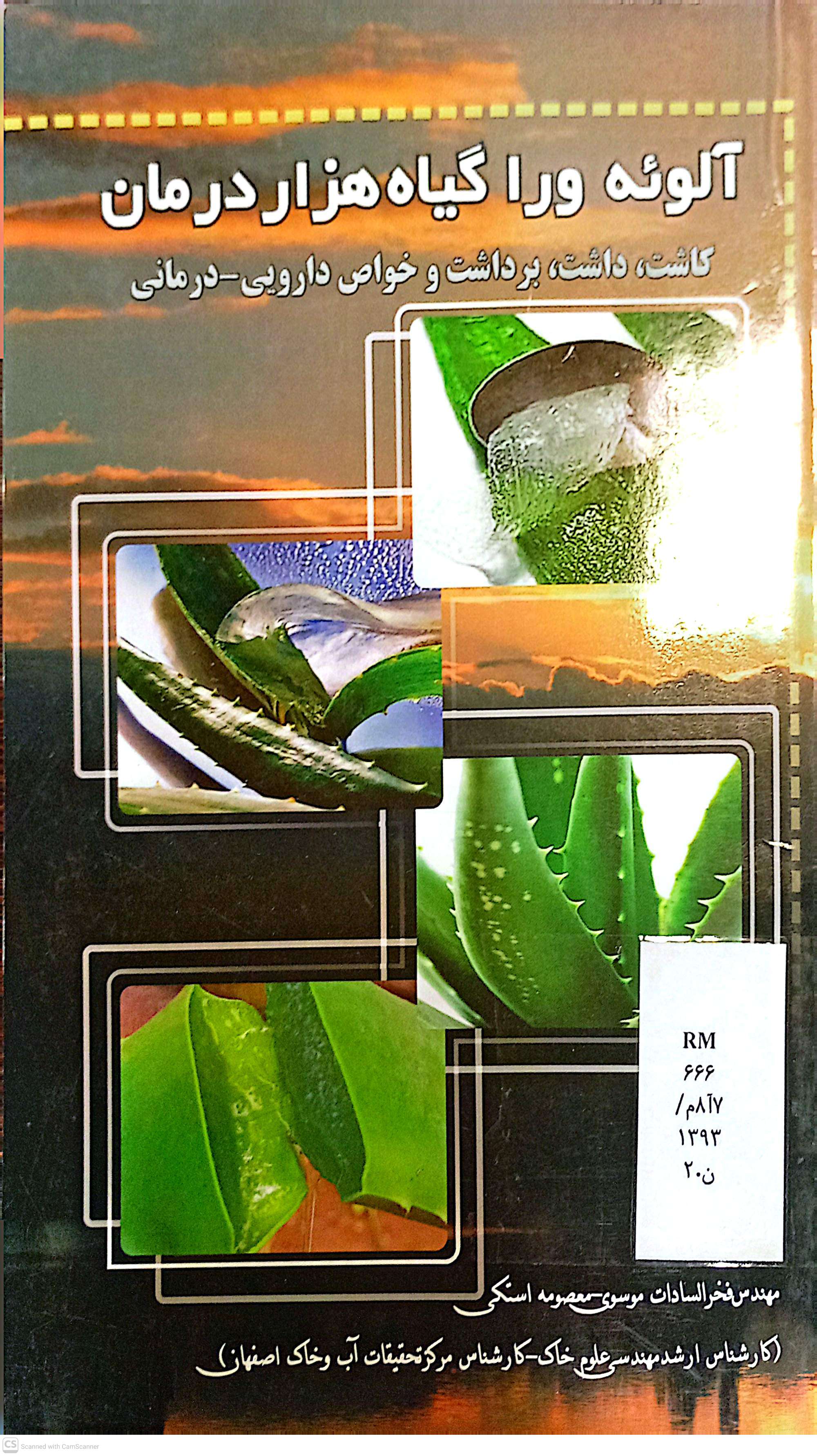 آلوئه ورا گیاه هزار درمان