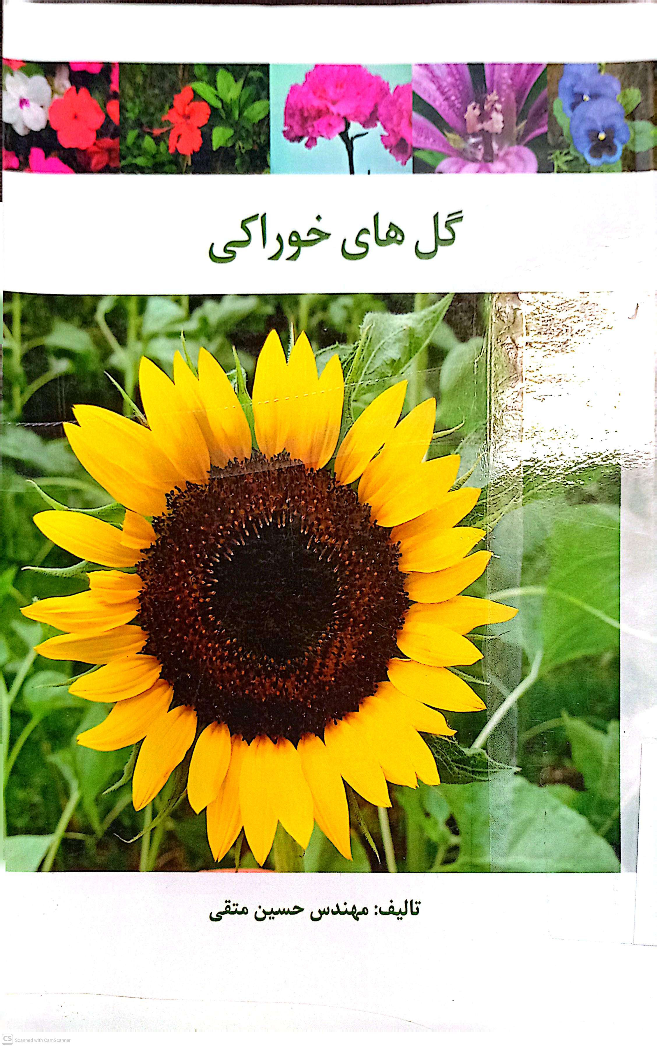 گل های خوراکی